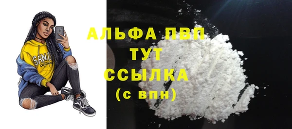 амф Арсеньев