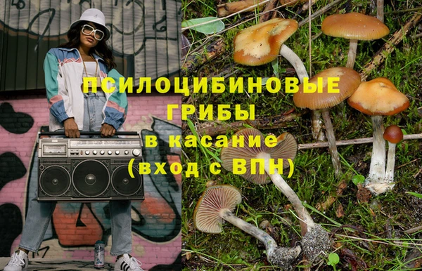 амф Арсеньев