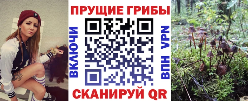 Галлюциногенные грибы прущие грибы  Купить где  Сертолово 